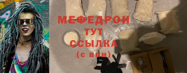 индика Горняк