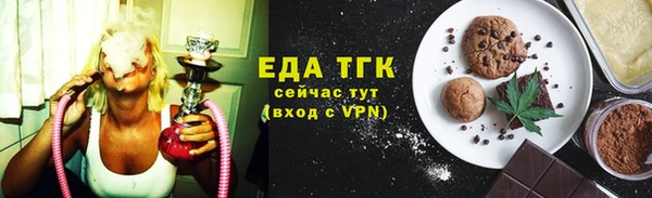 индика Горняк