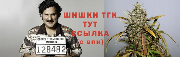 стафф Гусев