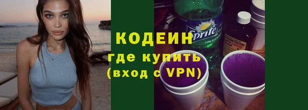 стафф Гусев