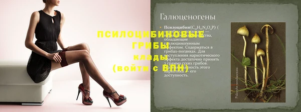 индика Горняк