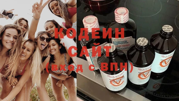 индика Горняк