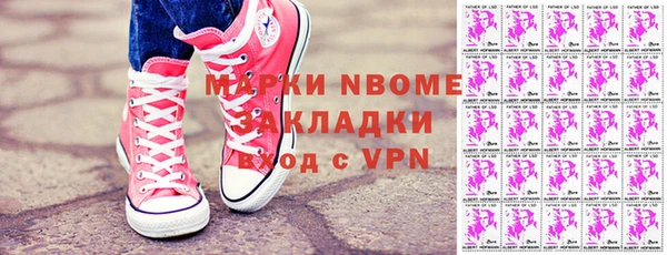 индика Горняк
