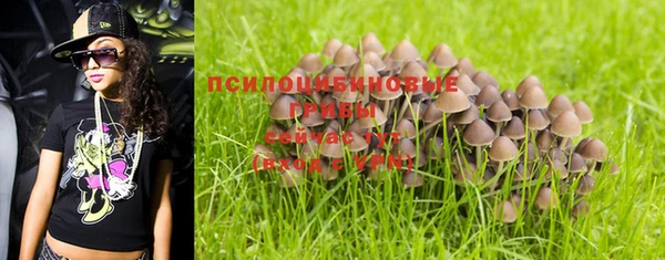 mdma Горнозаводск