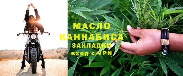 индика Горняк