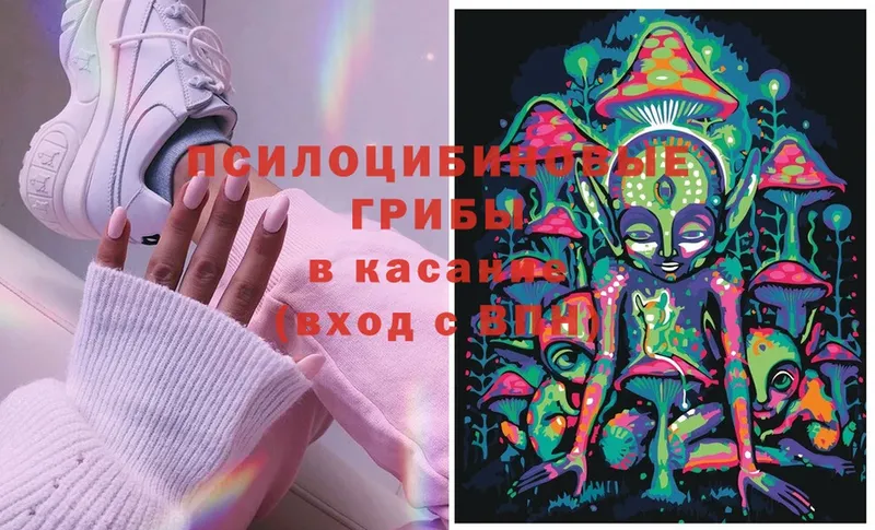 Псилоцибиновые грибы мухоморы  где можно купить   Маркс 