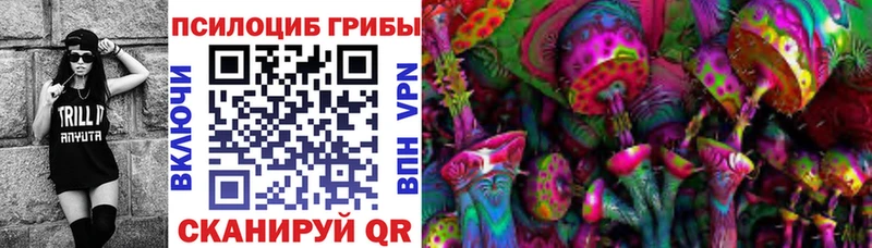 Галлюциногенные грибы Psilocybine cubensis  Маркс 