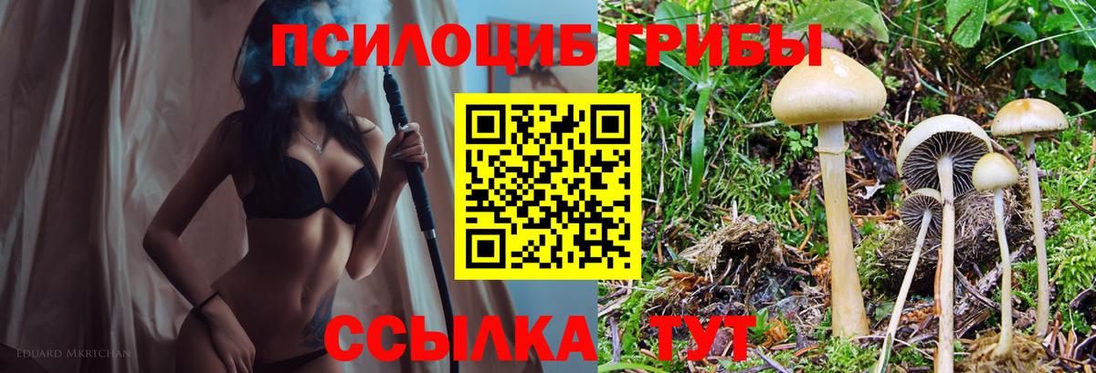 ГАШИШ  ГЕРОИН  Маркс  АМФЕТАМИН   КОКАИН  Меф МЯУ МЯУ   Гашиш  Вход с VPN  Канабис 